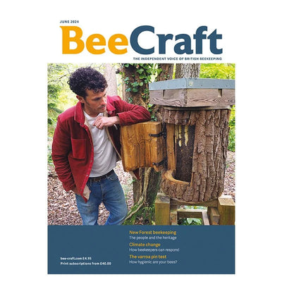 beecraft